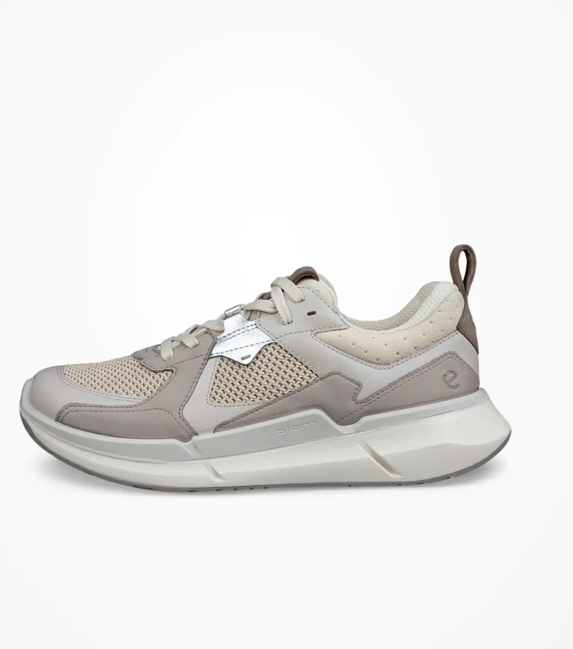 ECCO Biom 2.2